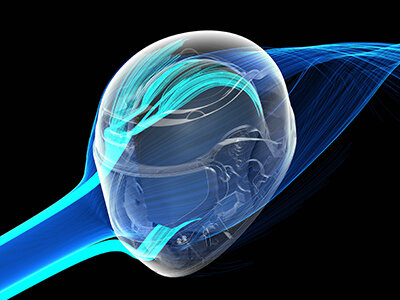 HYUGA-function-1.jpg