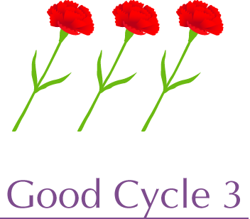 Good Cycle 3