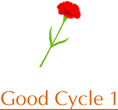 Good Cycle 1