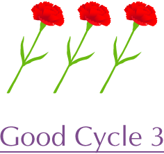 Good Cycle 3